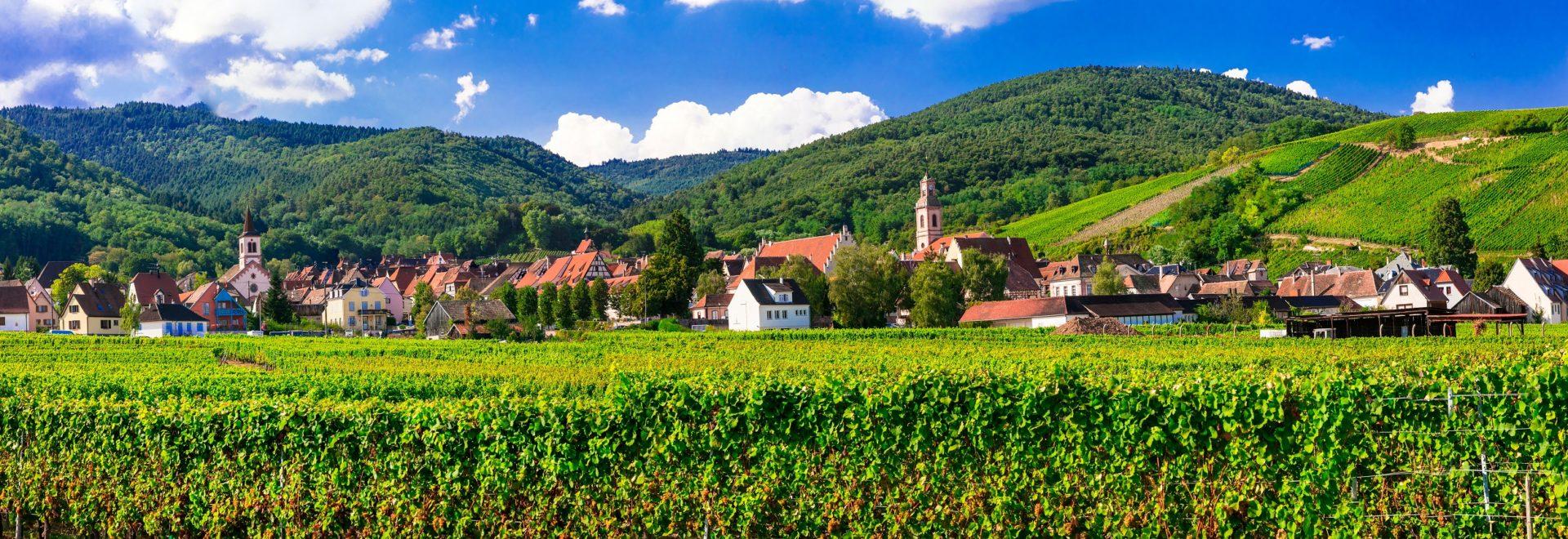 banniere-boutique-alsace-shop