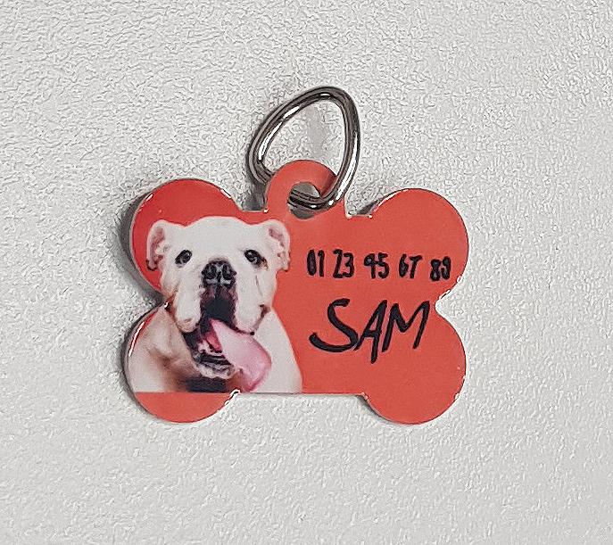 Médaille pour chien personnalisable - Plus qu'une image Dorlisheim -  Dorlisheim 