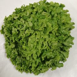 salade