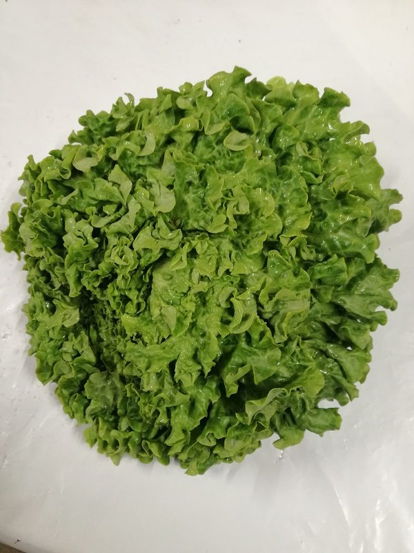 salade