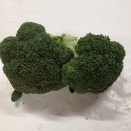 brocoli