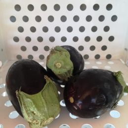 aubergines