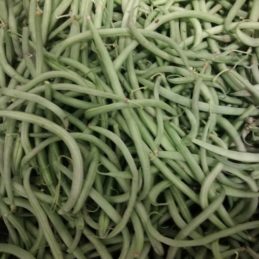 haricots-verts