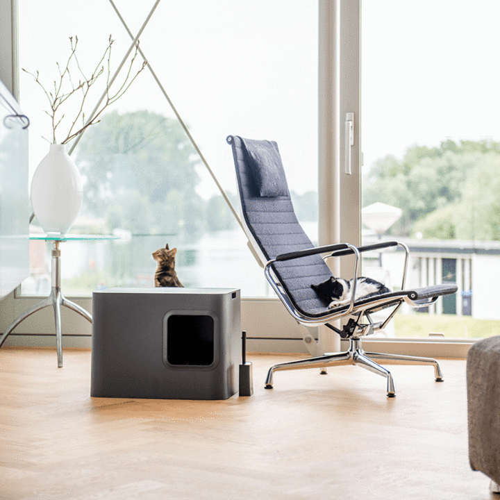 litiere-chat-design-anthracite-decoration-interieur_720x