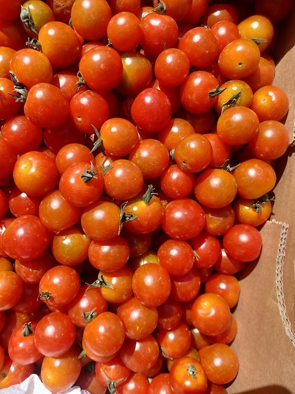 Tomate cerise (légumes)