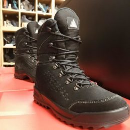 Bottes_Dachstein