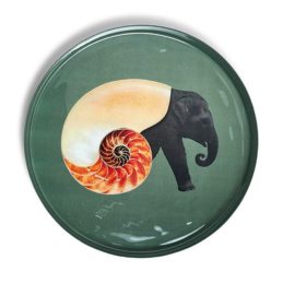 plateaurond-Shellephant