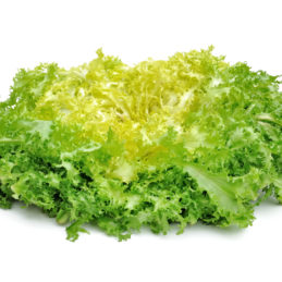 Salade frisée